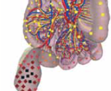 Example photo of part of body 2 by Metatron 4D